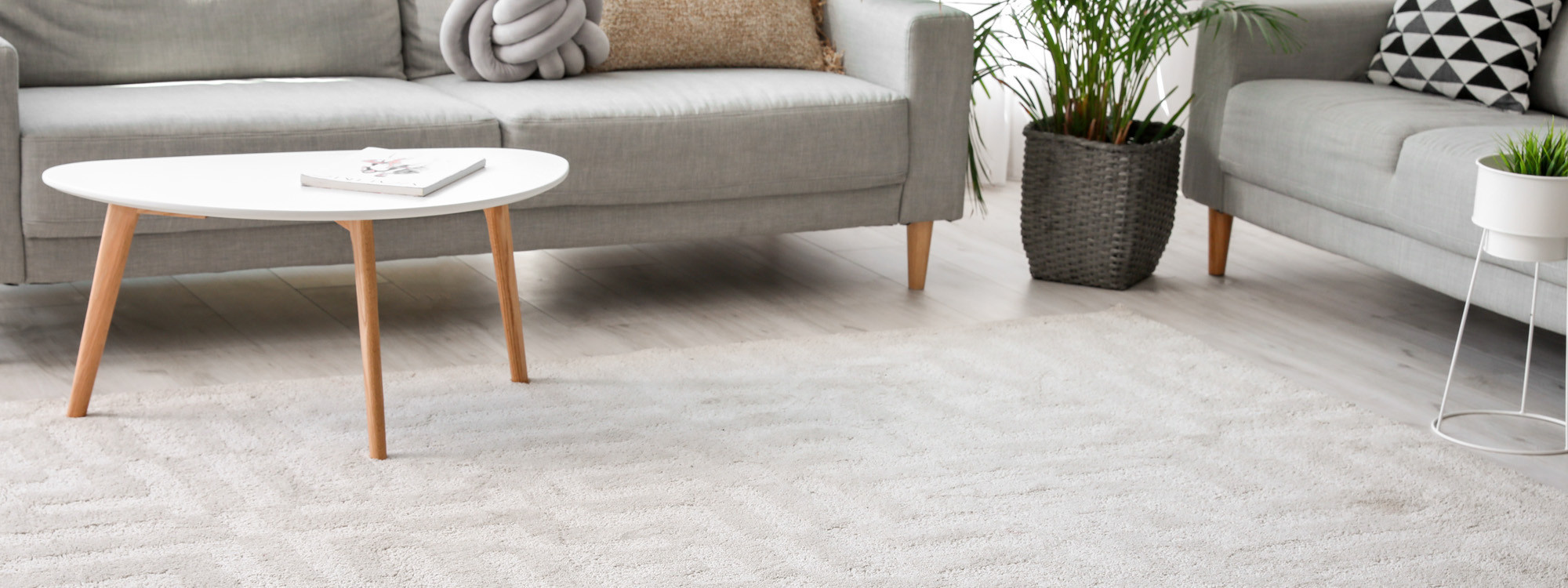 Carpet Cleaning Services