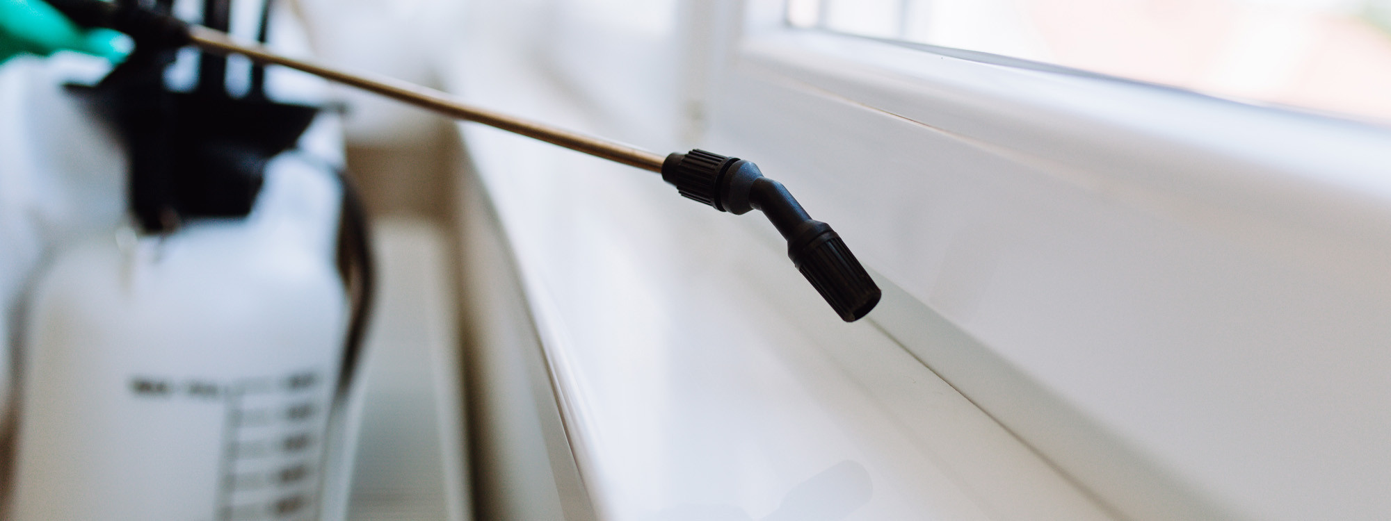 pest control services