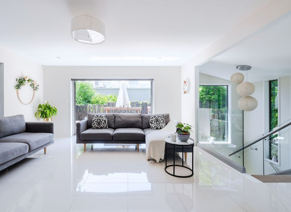 Mold Removal- The Healthy Home