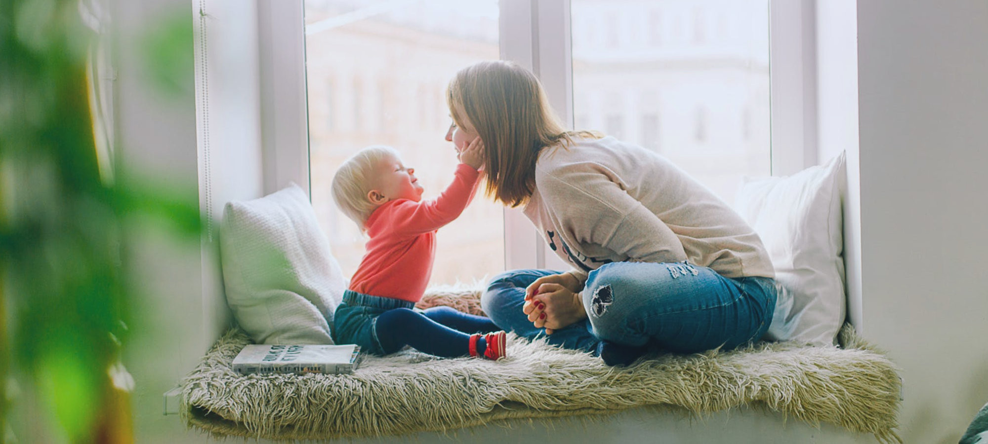 pest control services