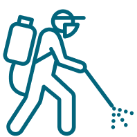 Pest Control In Dubai