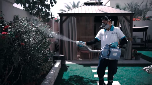 مكافحة حشرات 7 Image for Identify Service - Pest Control To Deal With Termite Swarms