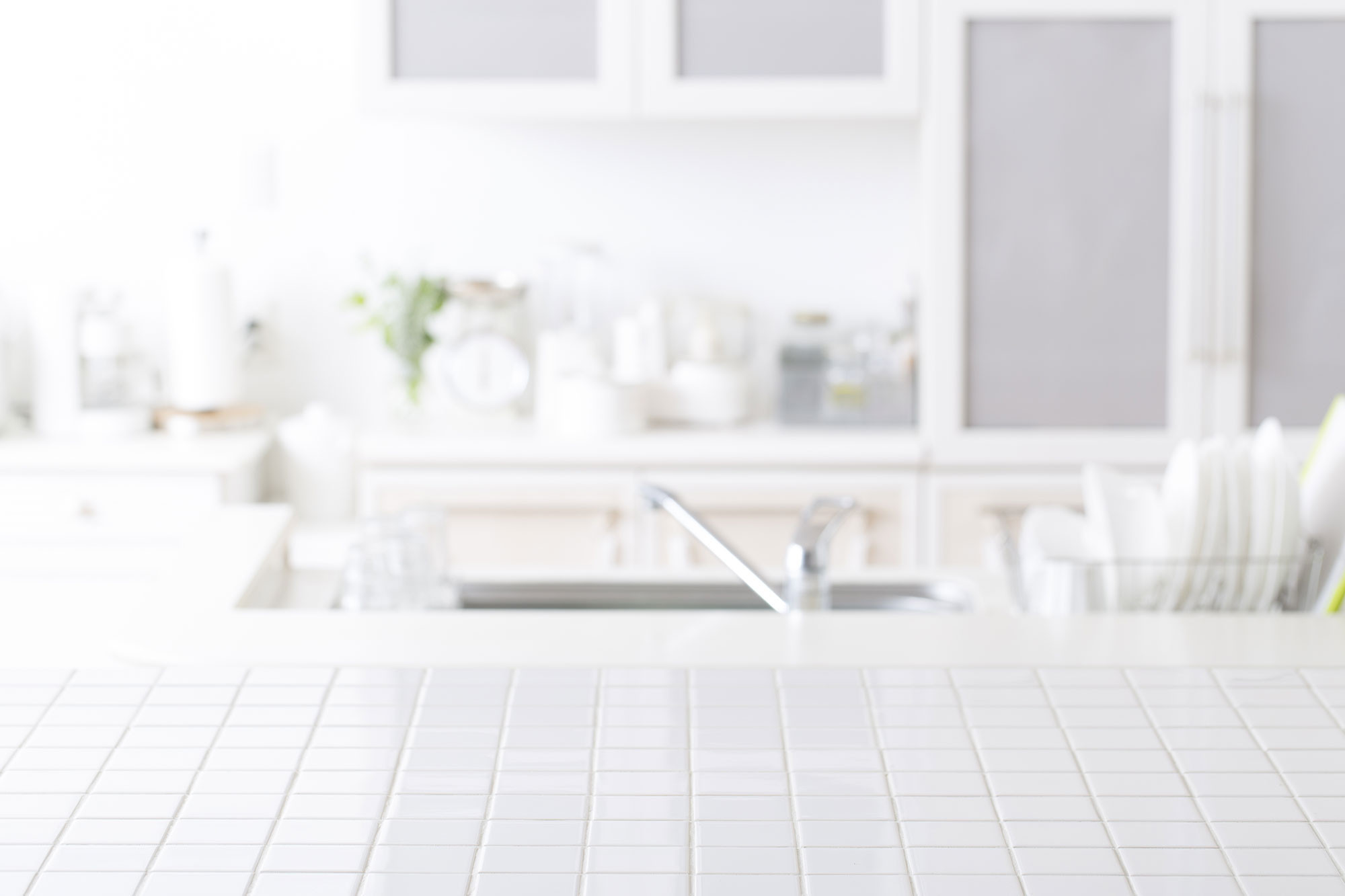 pest control services in dubai