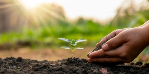 Sustainability
