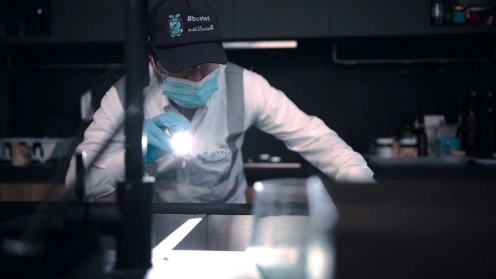 Rat Exterminator, Rodent Pest Control