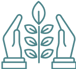 green organic beg bug treatment