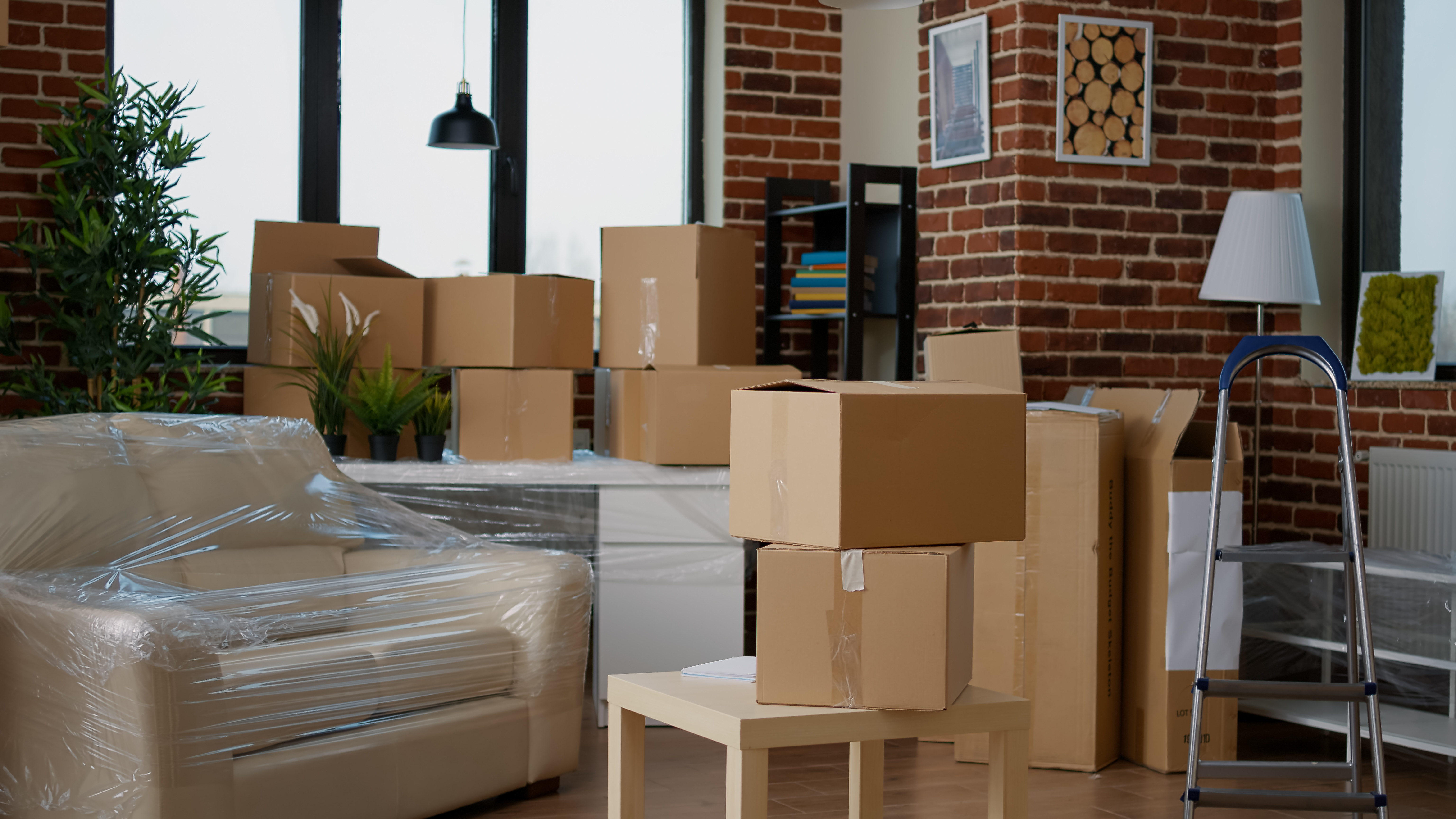 How to Choose the Best Moving Company in the UAE