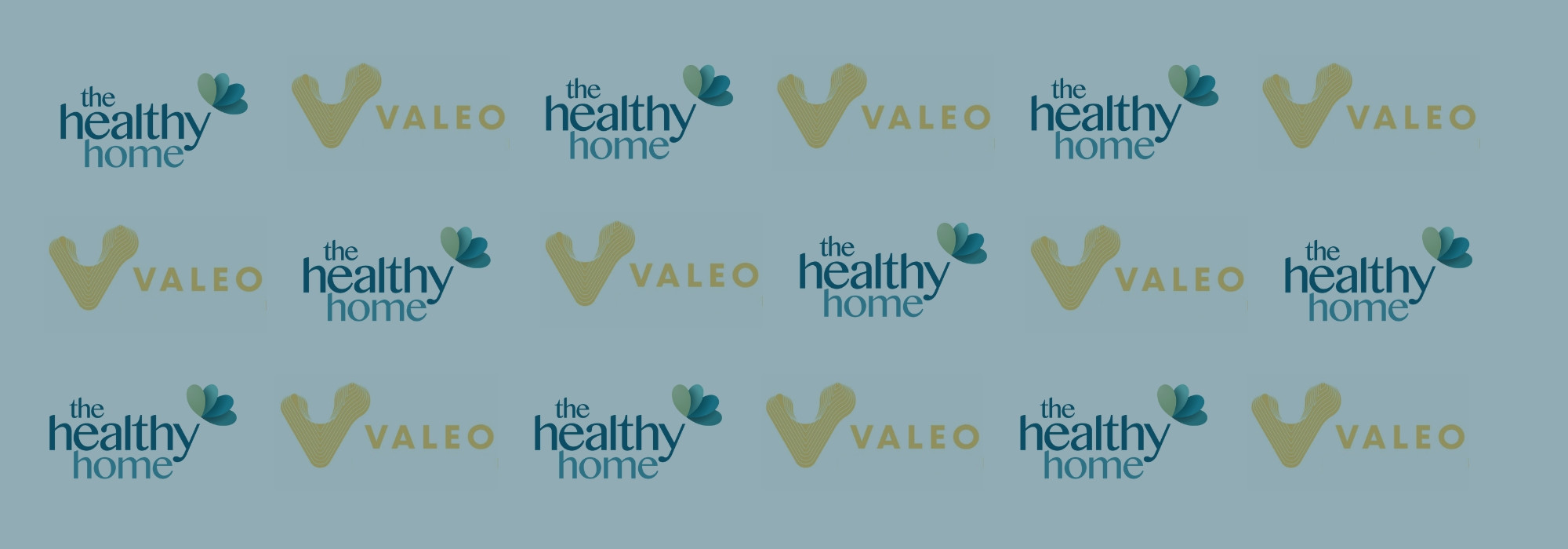 Thh X Valeo Banner