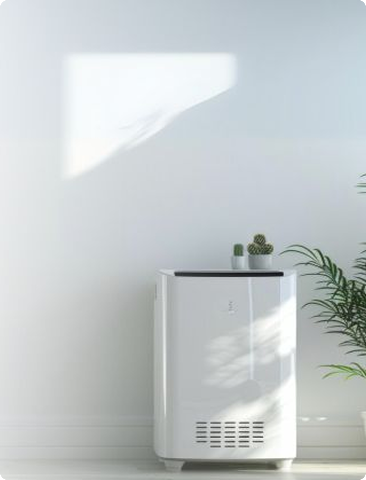 Holistic Wellness Products