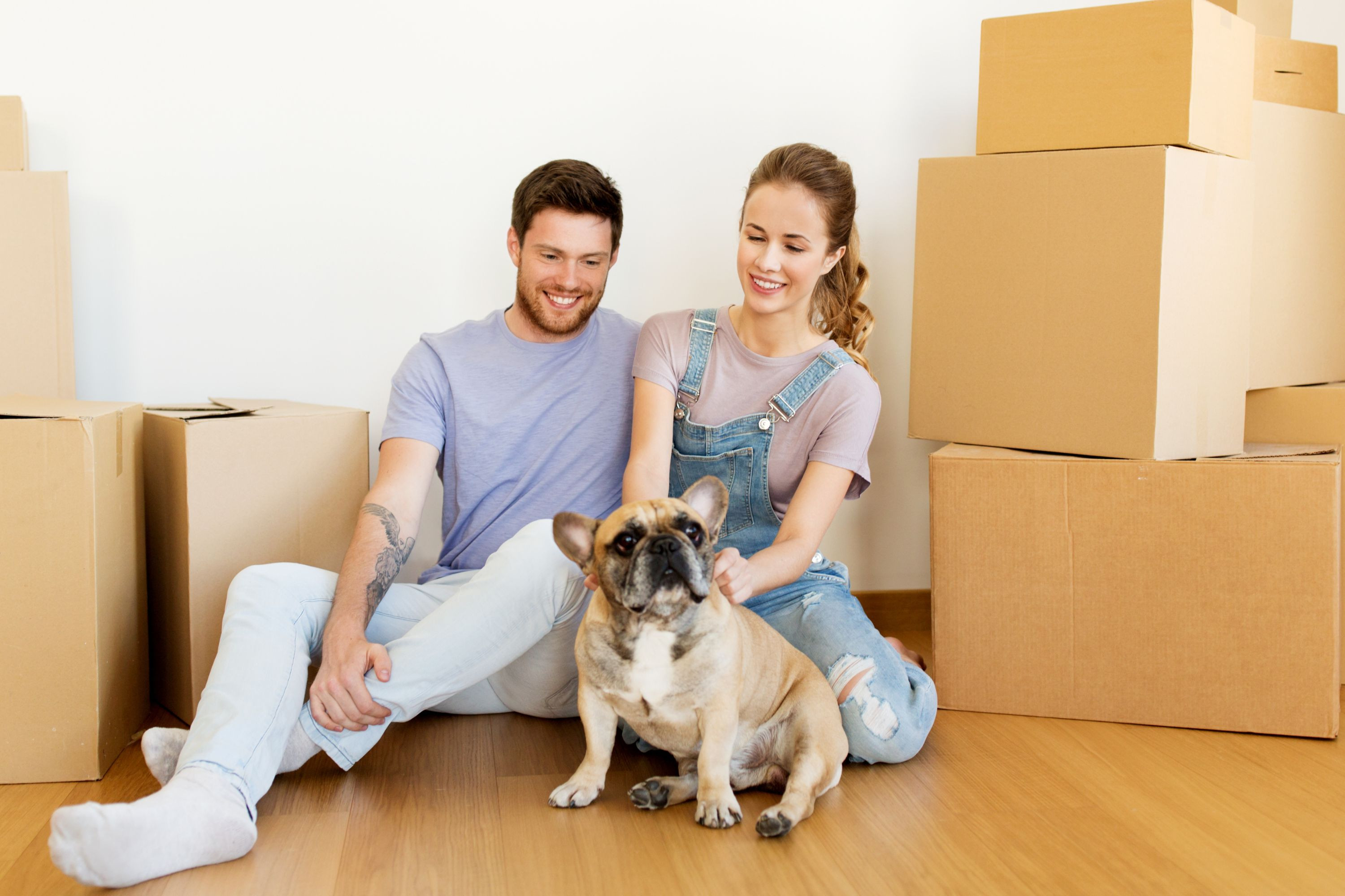 Move In Dubai