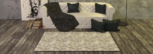 Sofa Carpet Cleaning
