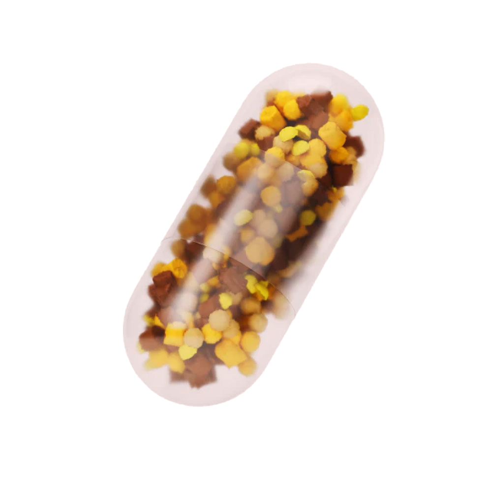 bioniq Longevity capsule