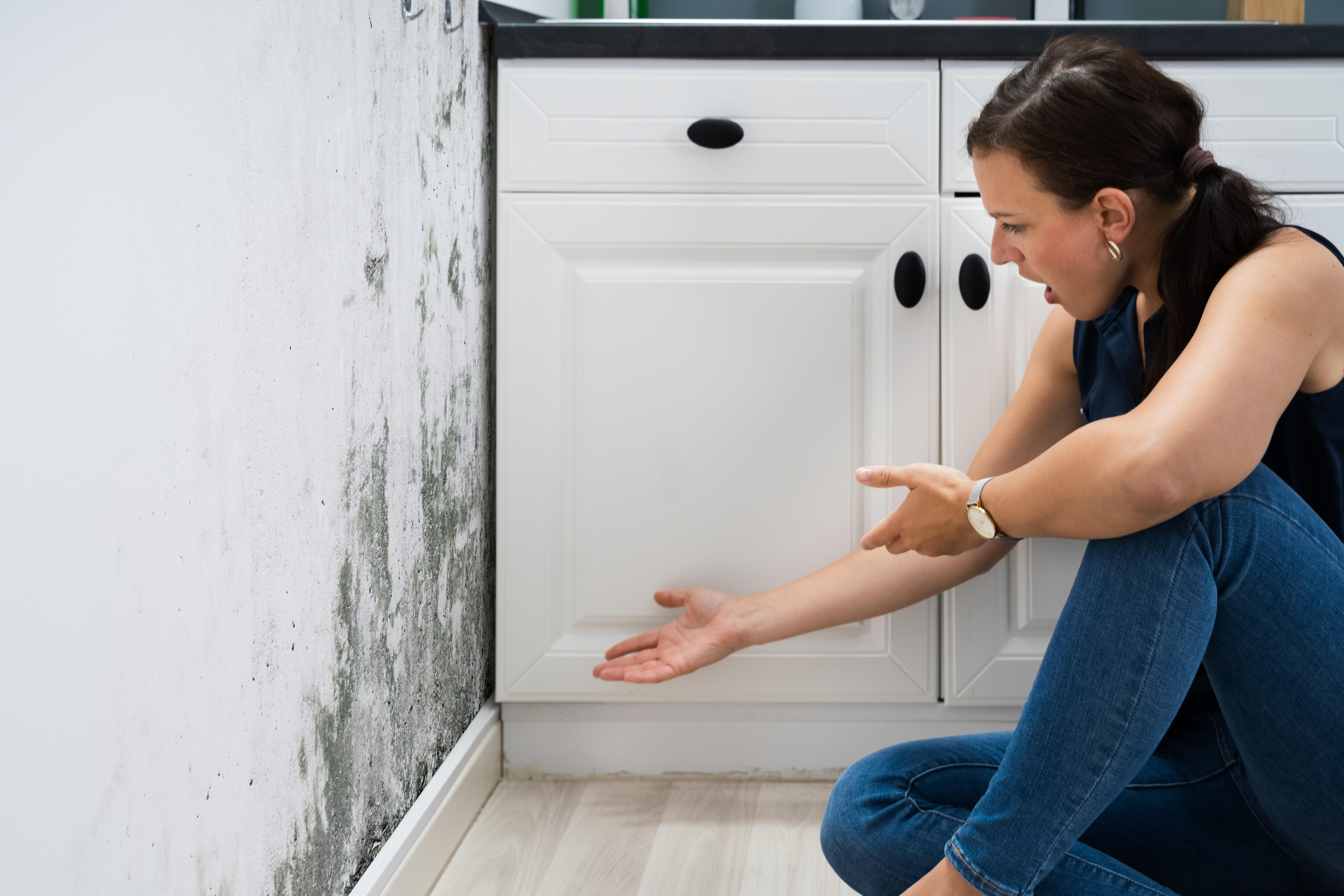 How To Prevent Mold During Summer