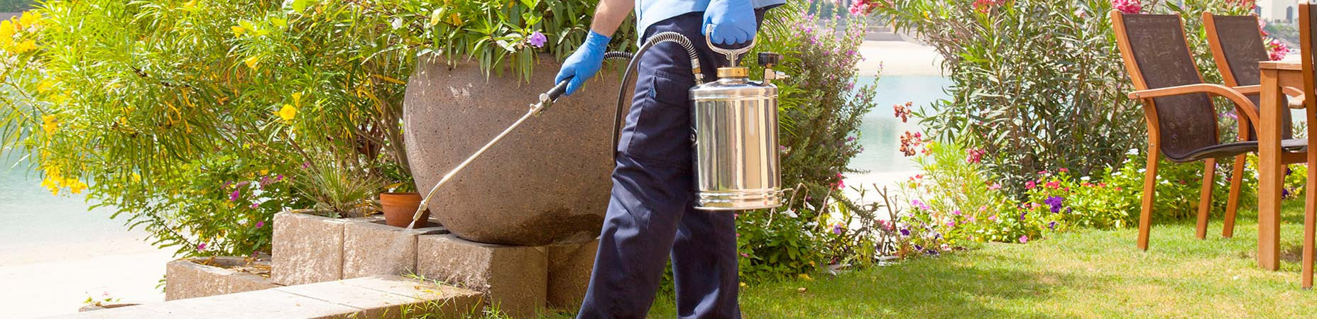 pest control in abu dhabi
