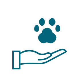 Pet Focused Expertise 1