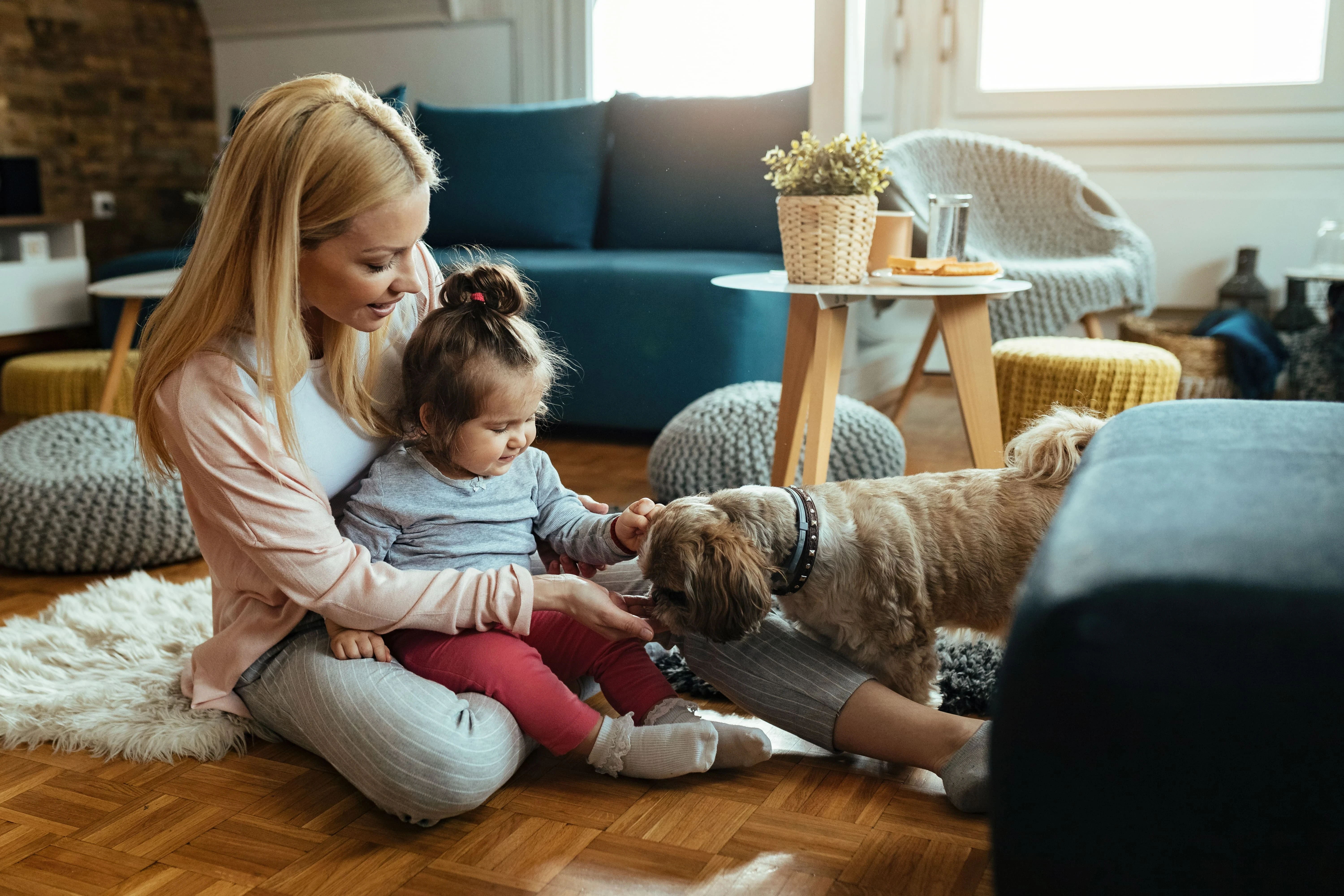 Pet Health And Indoor Air Quality 1