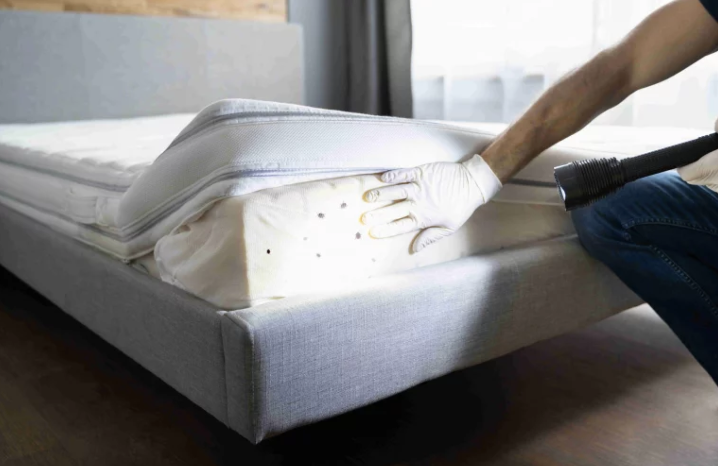 Pest Control Abu Dhbai