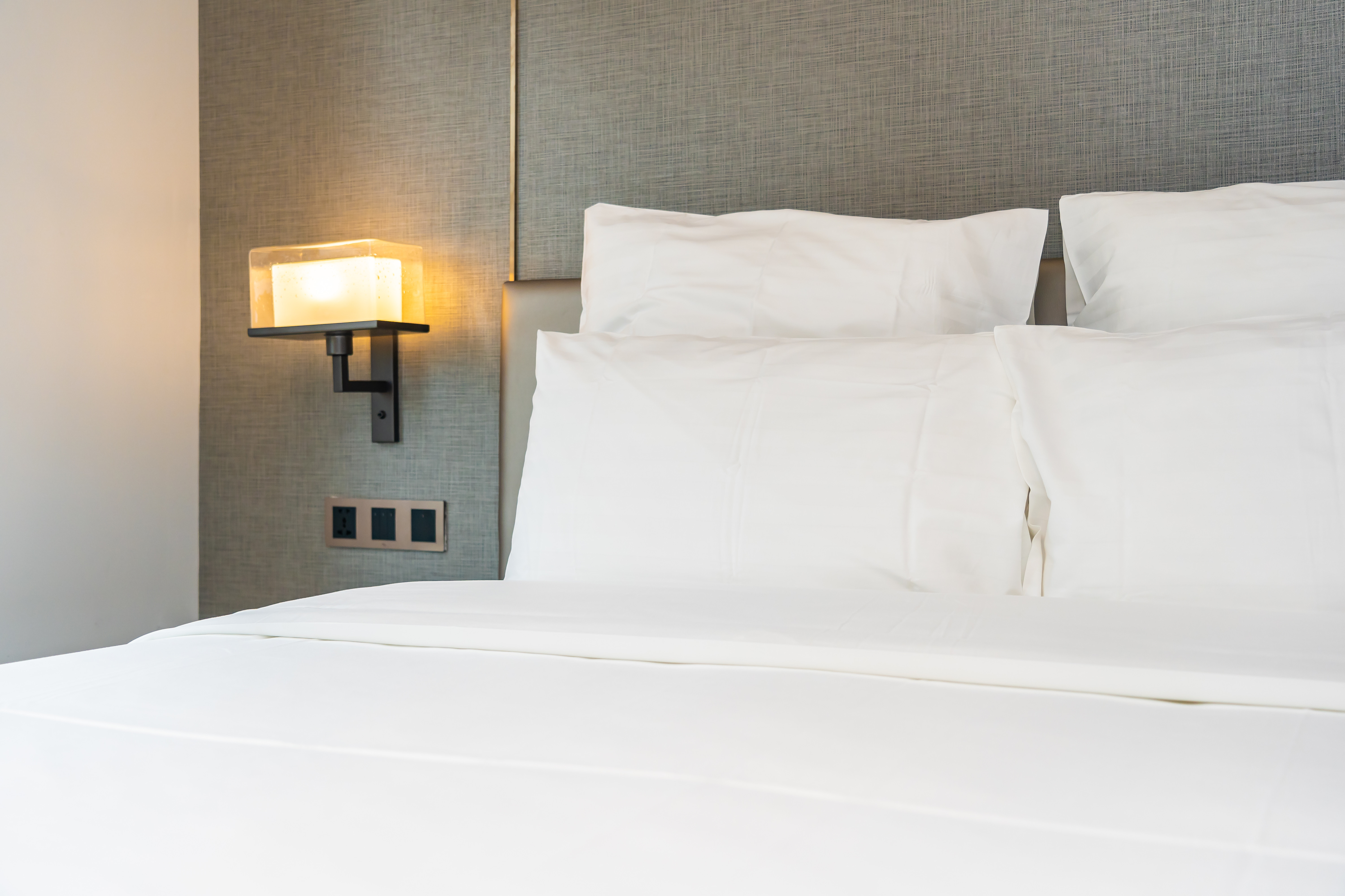 Pest Controlnservices In Dubai